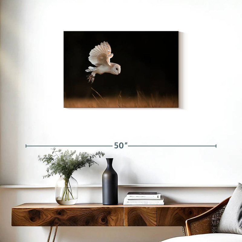 Barn Owl Beauty, 20" H x 30" W