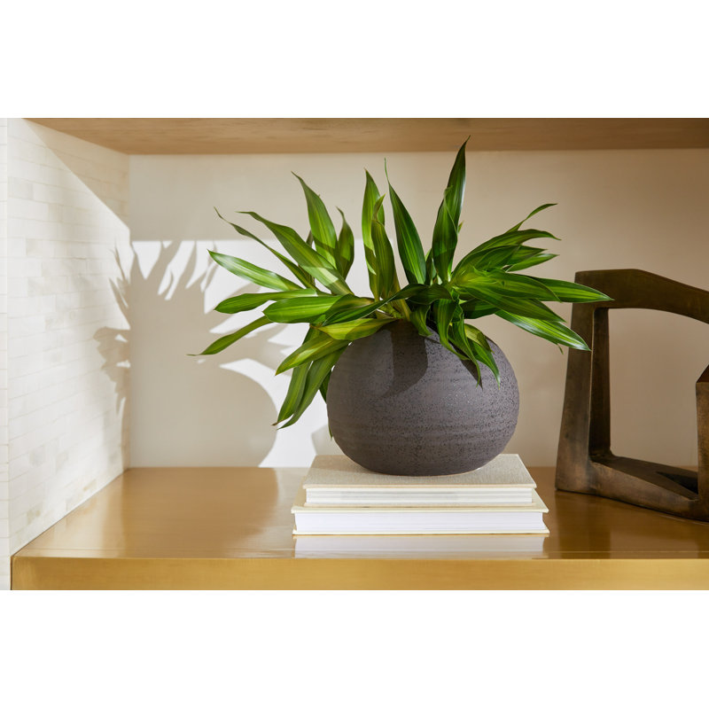 Perennial Handcrafted Ceramic Table Vase, Black