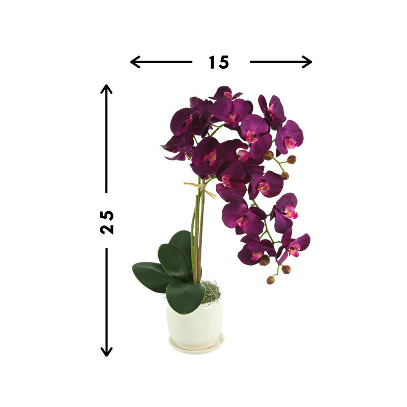 Orchid Arrangement In A Ceramic Pot With Orchid Leaves