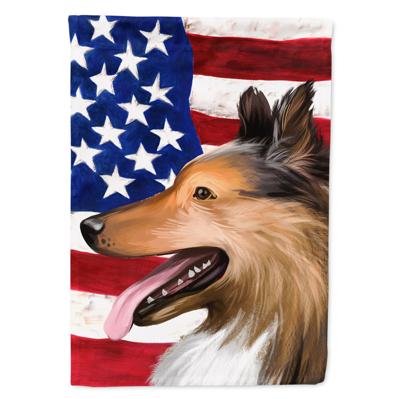 Polyester à 2 côtés 28 x 40 po drapeau maison, Collie à poil court