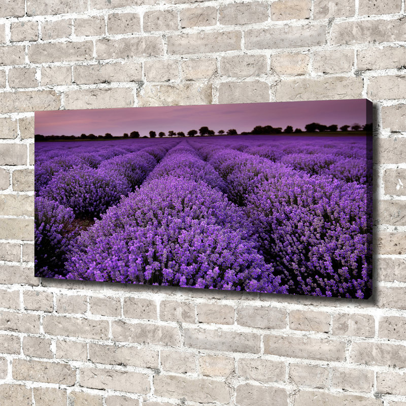 Lavender Field - Wrapped Canvas Print