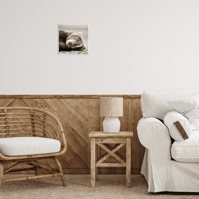 «Cozy Sleeping Bear» par Danita Delimont