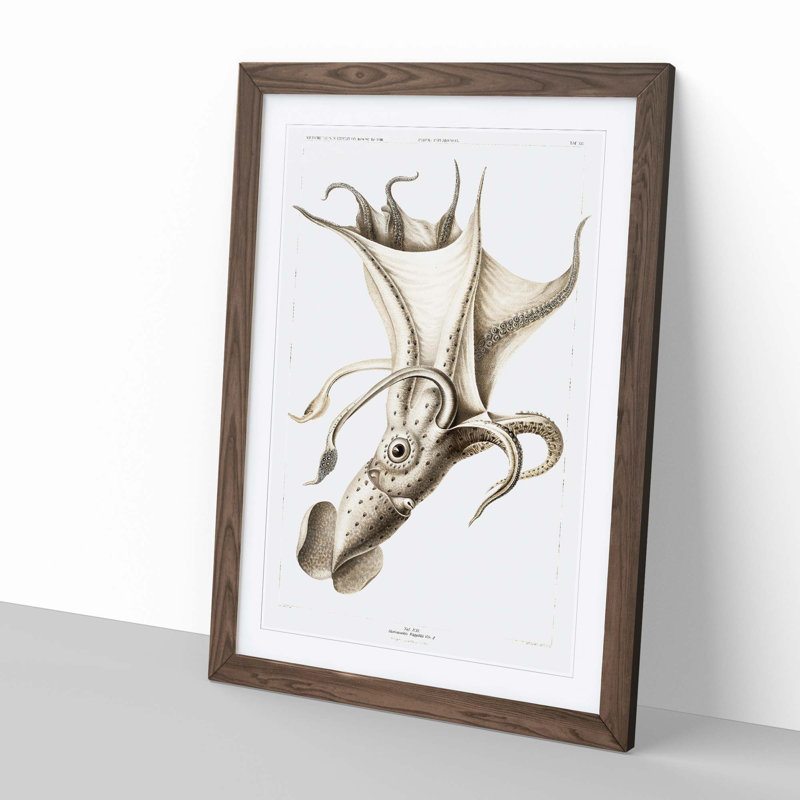 Cockeyed Squid by Carl Chun - Picture Frame Painting, 36cm H x 27cm W x 2cm D, Walnut Framed