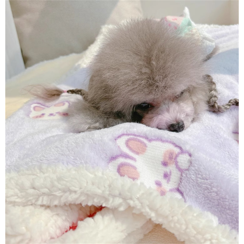 Couvertures pour chiens