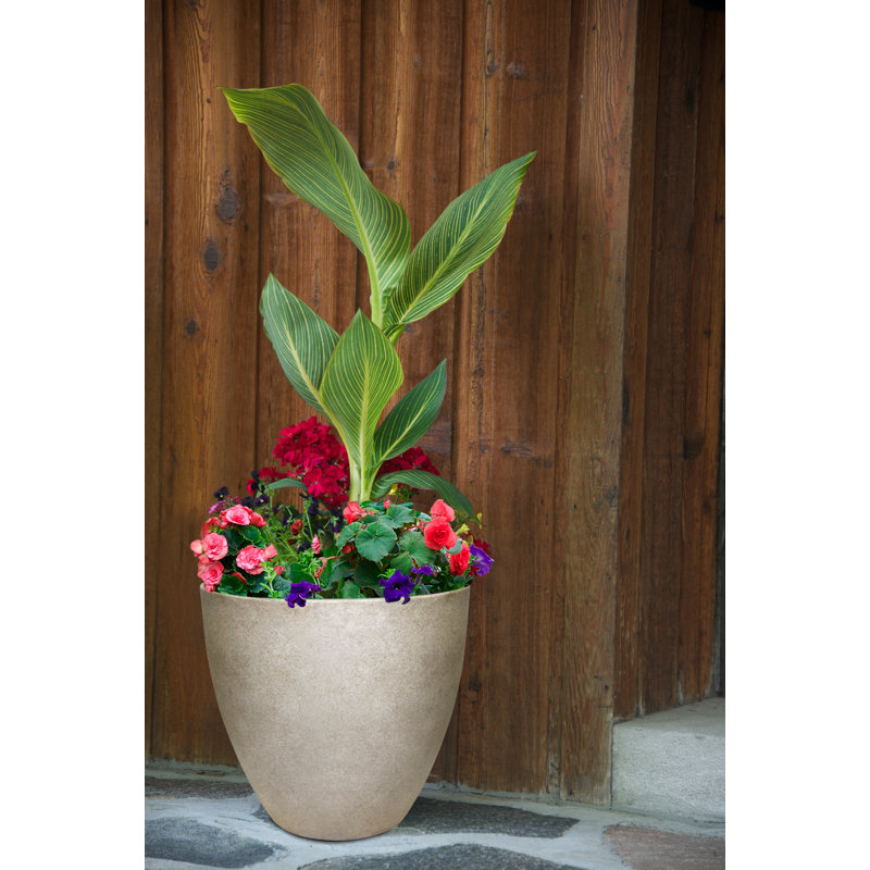 Pot à fleurs rond en résine, H 7,5 po x l 9,25 po x P 9,25 po, Os