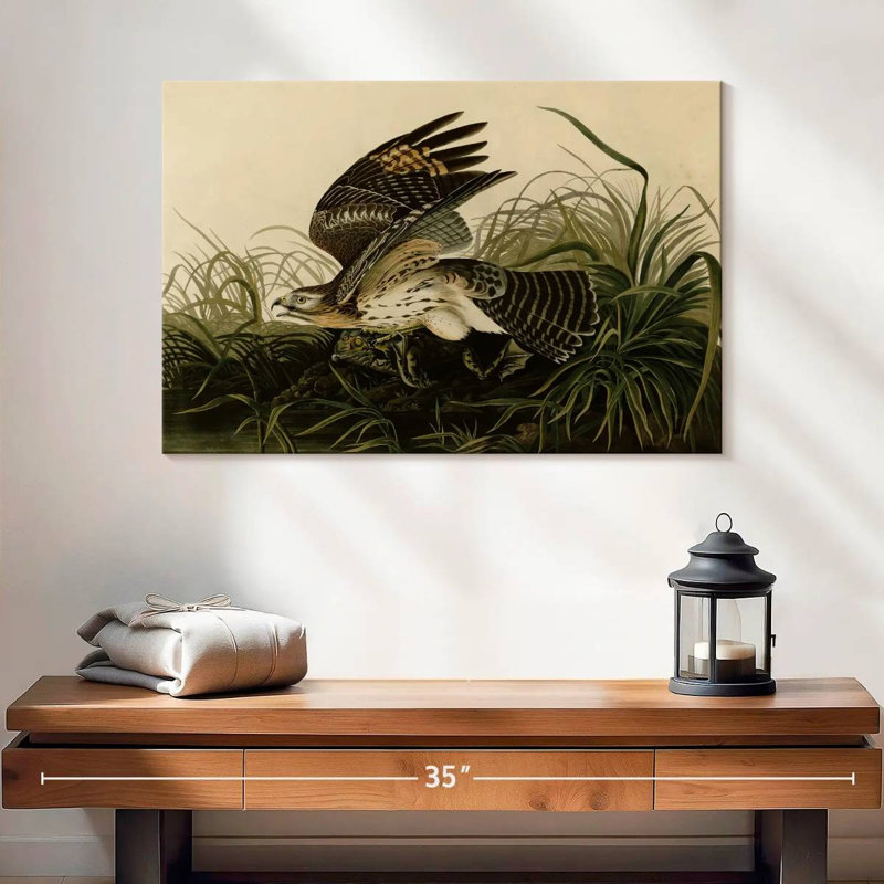 Brampt Winter Hawk, 16" H x 24" W