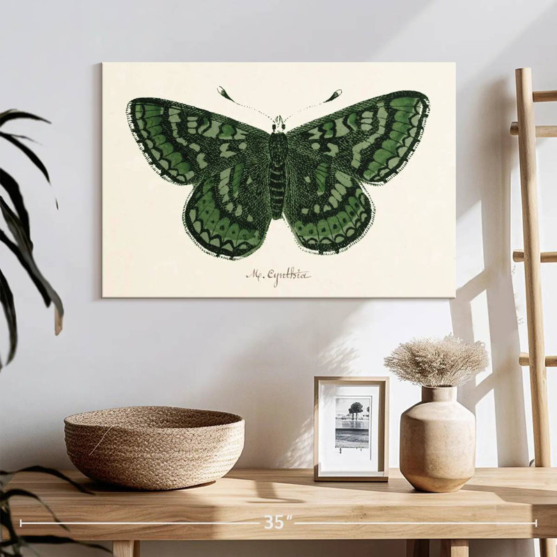 Brampt Antique Butterfly I, 16" H x 24" W