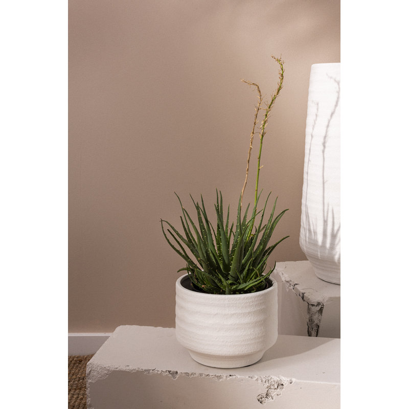 Pot à fleurs Canella, H 6 po x l 7,5 po x P 7,5 po