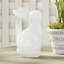 DAISY MAE BUNNY LARGE-109871165
