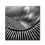 Urban Nautilus Print-46472089-46472090