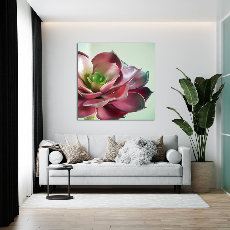 Echeveria Nova I - Impression sur toile tendue, H 8 po x l 8 po x P 1,5 po