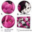 Blanc et rose Pop Art Frog I-600660875-600660878