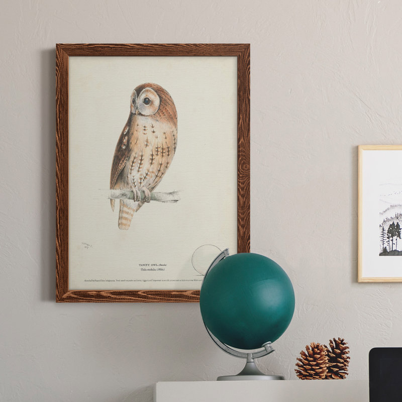 Toile encadrée de qualité supérieure Tawny Owl - prête à être accrochée, H 24 po x l 20 po x P 1 po, Érable