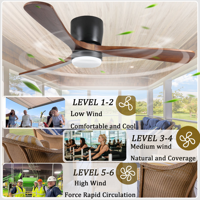 Ventilateur de plafond 52 po avec lumière, Marron foncé, Black