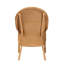Dining Chair(Only Dining Chairs)