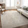 Don Oriental Indoor Rug