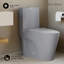 Toilette allongée une pièce à double chasse 1,1 / 1,6 gallon St. Tropez-1623405255-1623405251-1645430537