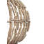 Cade 1 - Light Chandelier