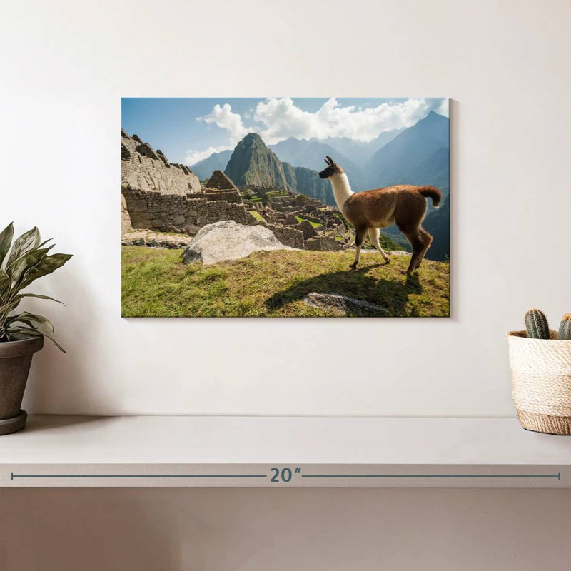Nicci Llama From Machu Picchu, 8'' H x 12'' W