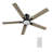 52'' Ceiling Fan with LED Lights-765350360