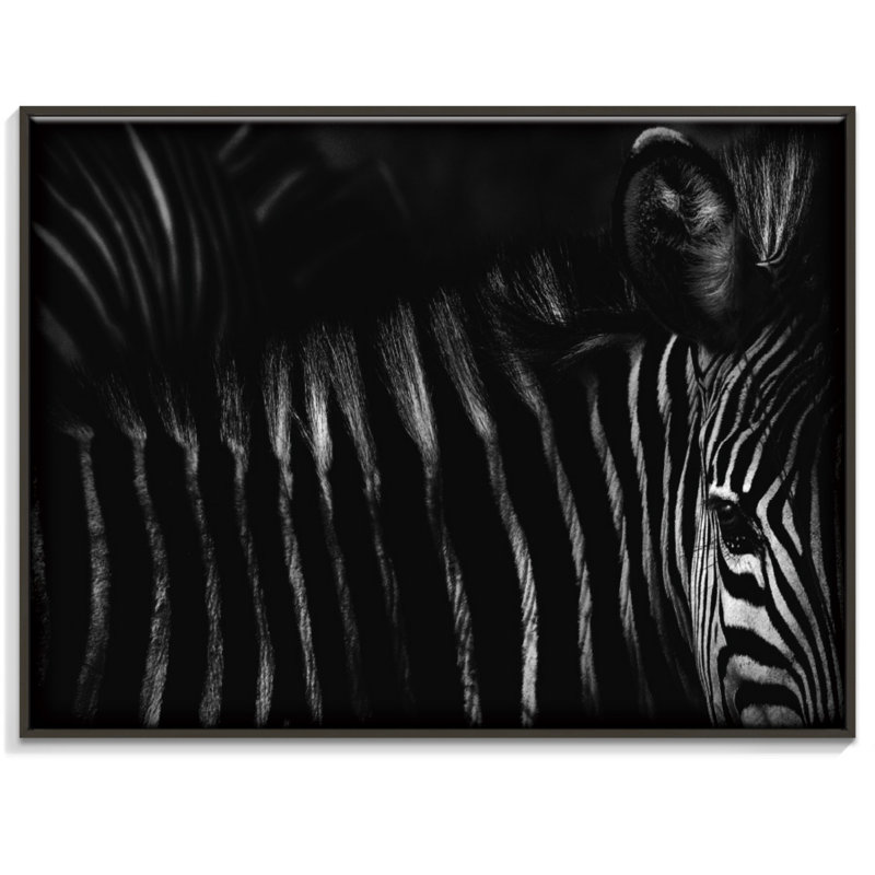 Print on Canvas, Black, 76cm H x 102cm W