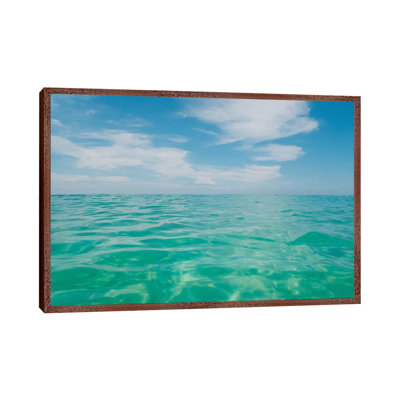 Florida Water III by Bethany Young - Print on Canvas