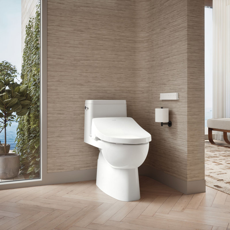 Elongated Bidet Toilet Seat With Remote Control