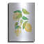 August Grove® «Summer Lemons I» par Courtney Prahl, art mural en métal-1519684900