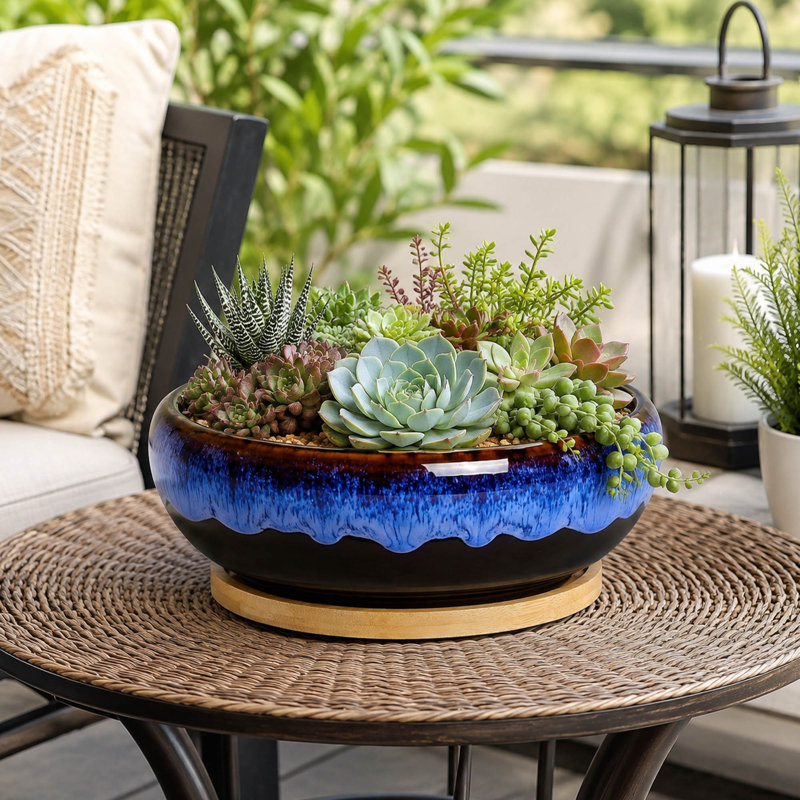 Pot de fleurs rond en céramique de 20 cm pour plantes succulentes avec plateau en bambou