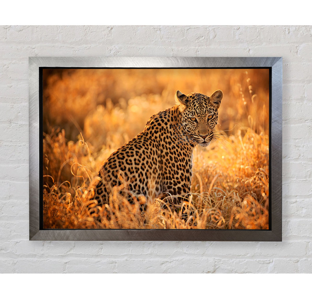 Leopard Sunset Gerahmter Druck Wandkunst