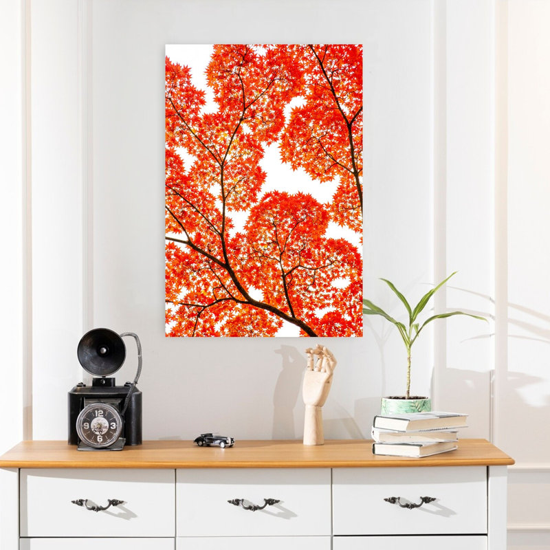 KUNIHIRO TAKUMA - Wrapped Canvas Print, 60.96 cm H x 40.64 cm W
