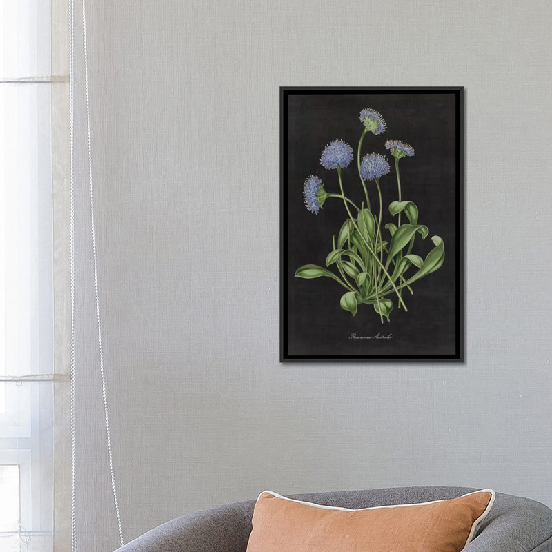 « botanique chart vii », impression sur toile tendue, H 26 po x l 18 po x P 1,5 po, Toile avec cadre noir, Pas de tapis