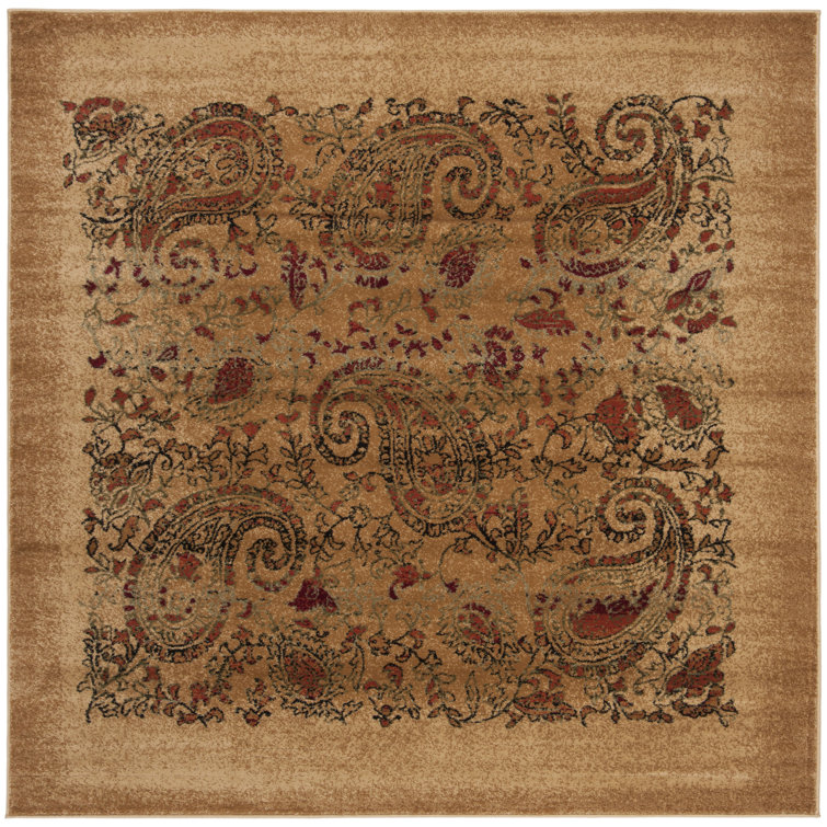 Klose Performance Paisley Rug