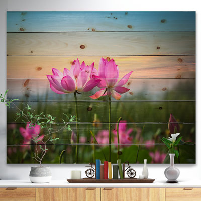 «Blooming Lotus Flowers at Sunset», photographie