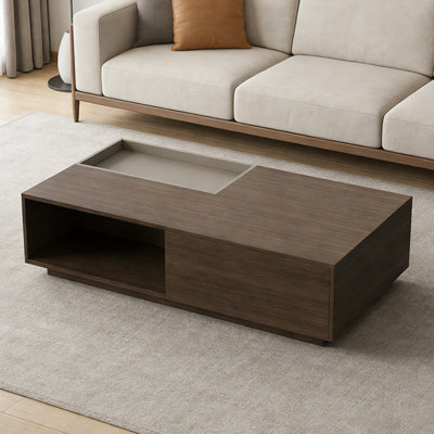 Table basse avec plateau et petit rangement