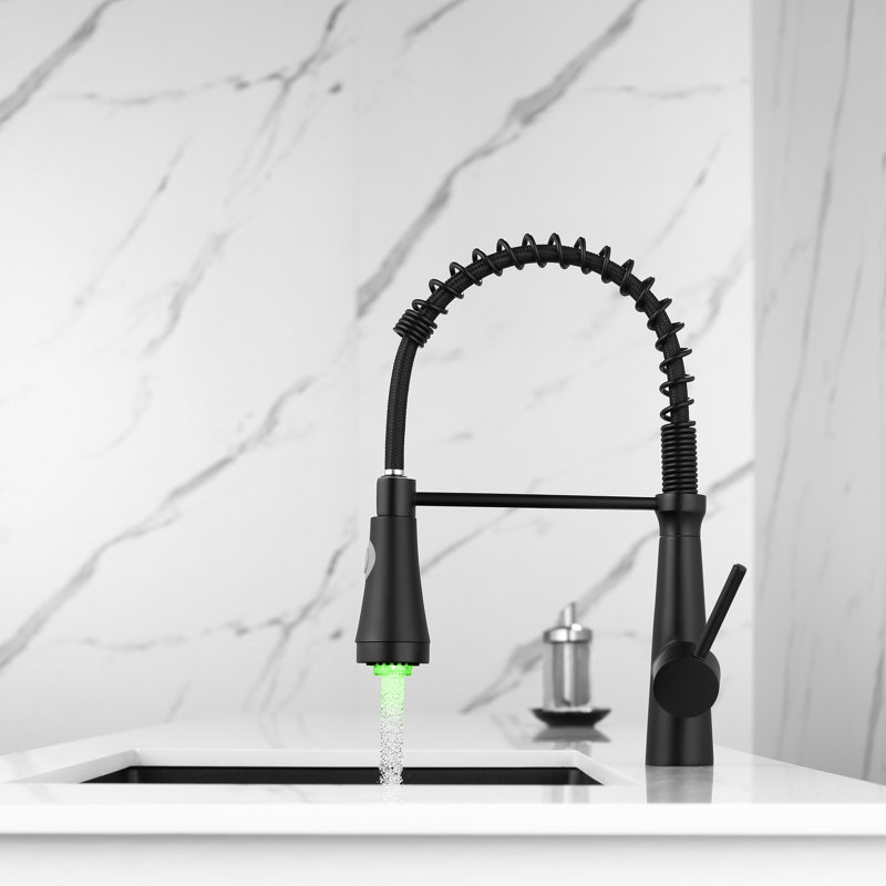Robinet d'évier de cuisine noir avec conduit et abattant, poignée simple, tour à 360 degrés, levier de nettoyage facile et efficace, noir, 360 ° rotatif, teinté