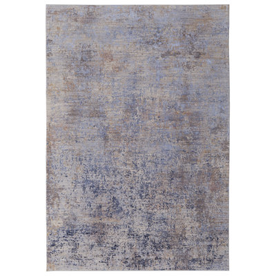 Rhun Abstract Indoor Rug