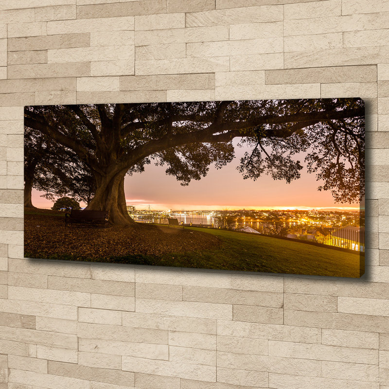 Old Tree - No Frame Print on Canvas