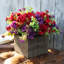Arrangement floral maman en pot de fleurs