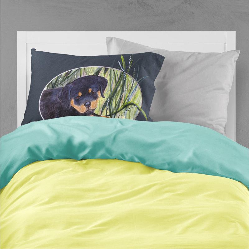 Microfiber