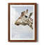 Grumpy - Photographie avec cadre photo-1107403279-1107403504