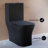 Concorde One-Piece 12" Rough-in 1.1/1.6 GPF Dual Top Flush Square Toilet in Matte Black-1982268223-1982268218