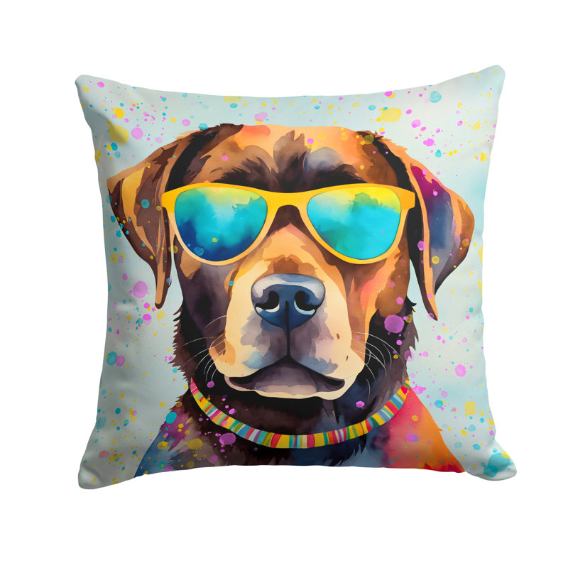Other/No Pattern Outdoor Throw Pillow