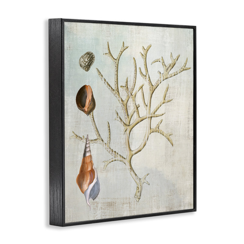 Coquillages et branche de corail, estampe numérique, design par Susan Arnot, H 14 po x l 11 po, Giclée encadrée noir minuit