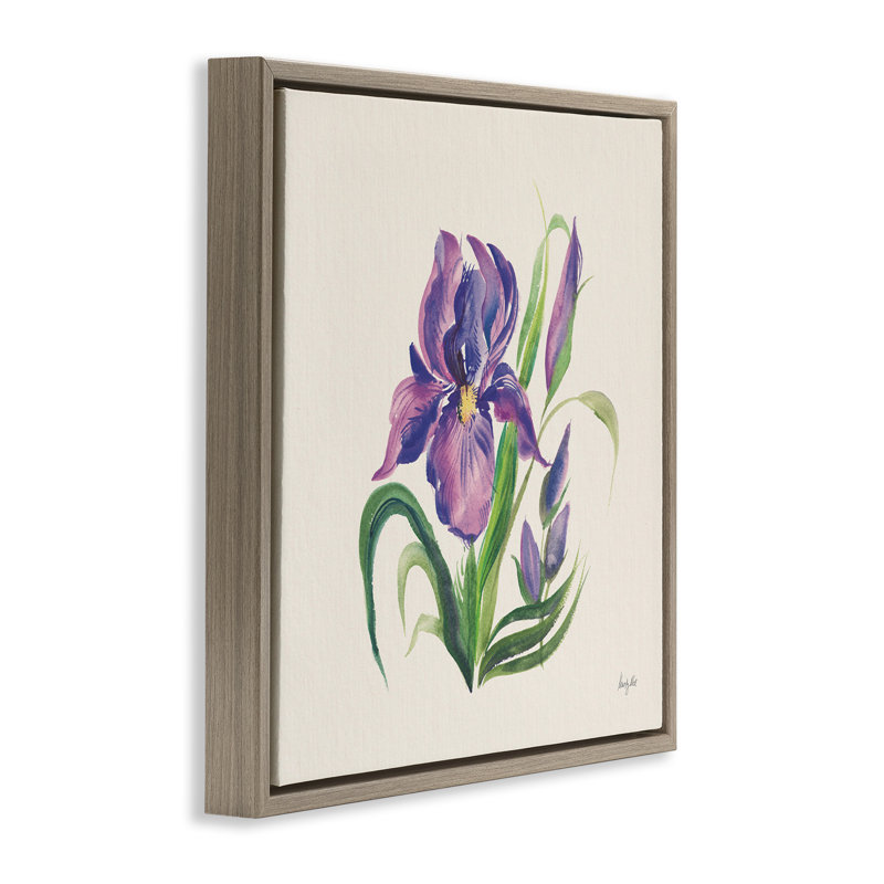 «Mauve Iris Flower», art mural sur toile flottante par Kristy riz, Cadre flottant orme Montalcino, H 18 po x l 18 po
