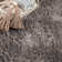 Hemsworth California Shag Solid Polyester Non-Slip Indoor Area Rug or Runner With Foam Backing