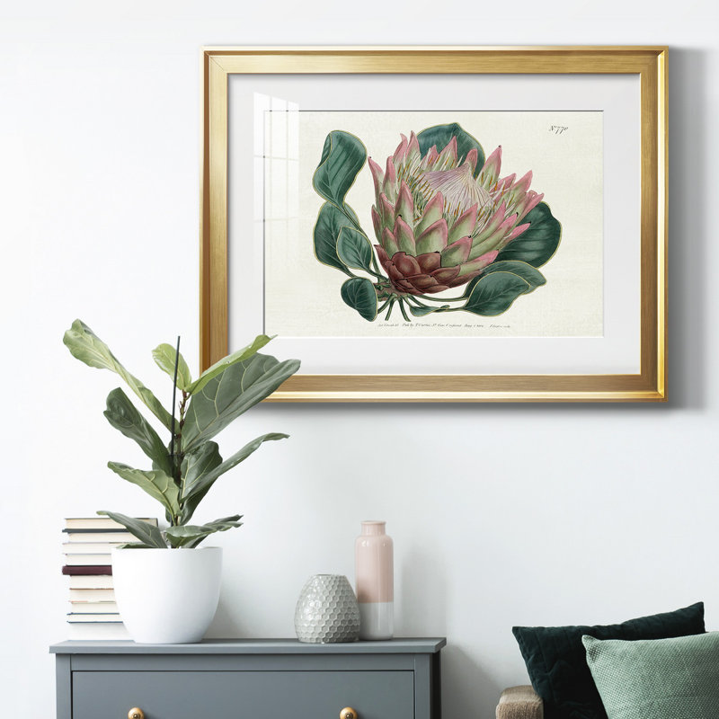 Protea N70, reproduction encadrée de qualité supérieure - prête à être accrochée, Or, H 18,5 po x l 24,5 po x P 1 po