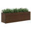Planter Box-188704479