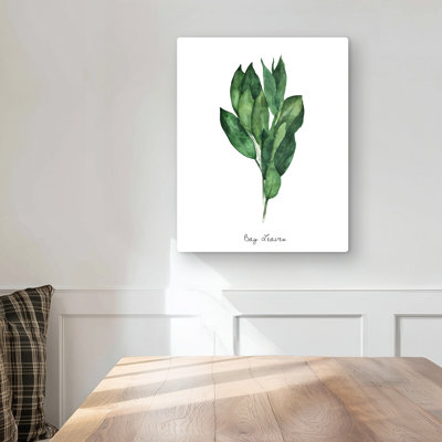 Bay Leaves Bundle - Illustrative Metal Print for Home Decor