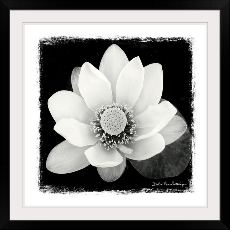 « ii » par marie van swearingen, reproduction de photo Lotus Flower, H 20" x l 20" x P 1", Cadre noir